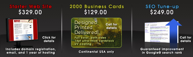 Starter Web Site, 2000 Business Cards, SEO Tune-up Specials