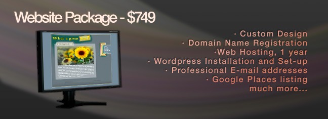 Custom Wordpress and Website Hosting Package - ZinZang